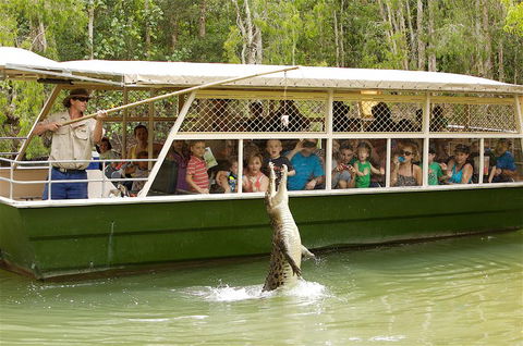 Hartley's Crocodile Adventure Half-Day Tour - Events Australia 0