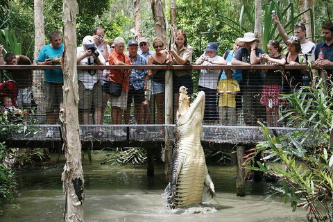 Hartley's Crocodile Adventure Half-Day Tour - Events Australia 1