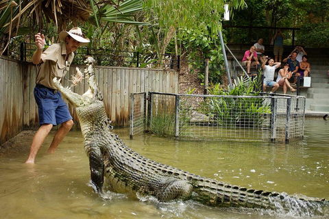 Hartley's Crocodile Adventure Half-Day Tour - Events Australia 2