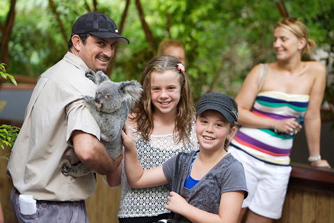 Hartley's Crocodile Adventure Half-Day Tour - Events Australia 3