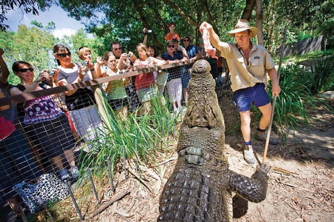 Hartley's Crocodile Adventure Half-Day Tour - Events Australia 4