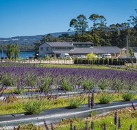 Private Hobart Discover South East Food and Scenic Tour - Tourism Bookings