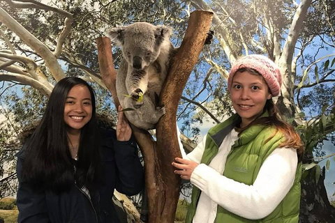 Australia Multi-City Attractions Pass - Events Australia 3