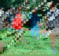 Let's Go Buggin  Let's Go Shroomin - Photography  Nature Walking Tours - Events Australia