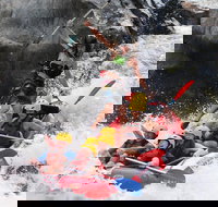 Barron Gorge National Park Half-Day White Water Rafting from Cairns or Port Douglas - Events Australia