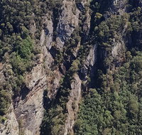 Leven Canyon Day Trip Including Wings Wildlife Park or Gunns Plains Caves - Events Australia
