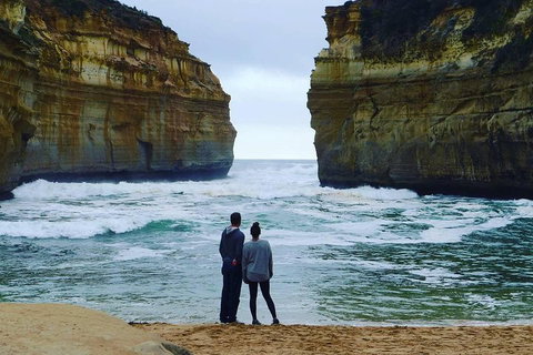 Great Ocean Road Small-Group Ecotour From Melbourne - Events Australia 1