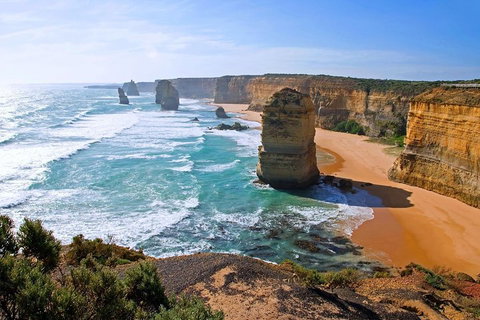 Great Ocean Road Small-Group Ecotour From Melbourne - Events Australia 2