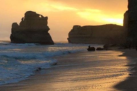 Great Ocean Road Small-Group Ecotour From Melbourne - Events Australia 5