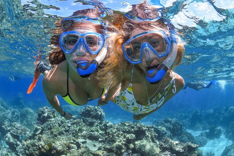 Great Barrier Reef Snorkeling And Diving Cruise From Cairns - Tourism Bookings 3