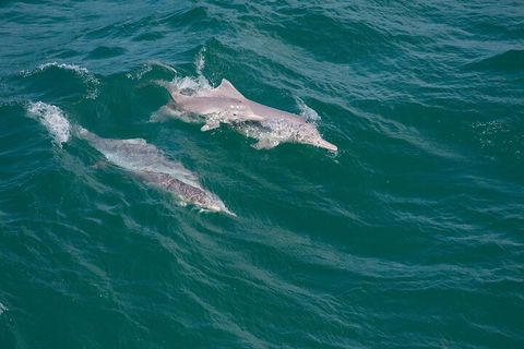 North Stradbroke Island Private Tour With Pickup - Events Australia 0