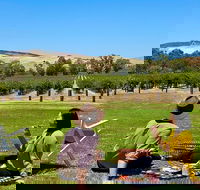 Private Picnic and Wine Tasting Experience in Barossa Valley - Events Australia