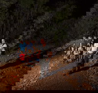 Alice Springs Desert Park Nocturnal Tour - Events Australia