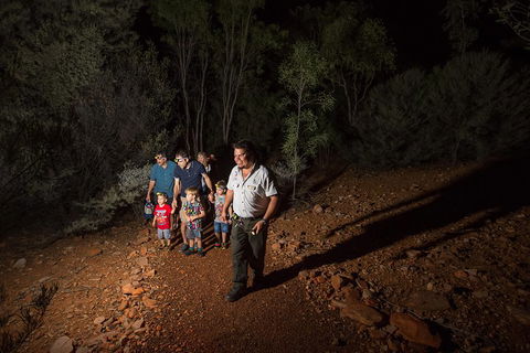 Alice Springs Desert Park Nocturnal Tour - Tourism Bookings 0