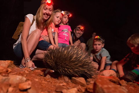 Alice Springs Desert Park Nocturnal Tour - Tourism Bookings 5