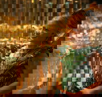 The Perth Mint Guided Heritage Tour and Gold Pour - Events Australia