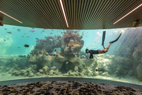 Whitehaven Beach And Daydream Island Cruise - Accommodation Europe 4