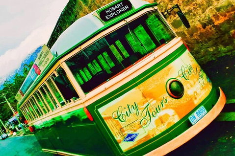 Hobart Half-Day Sightseeing Coach Tram Tour - Events Australia 5