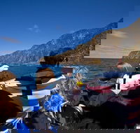 Seal Island Boat Tour from Victor Harbor - Events Australia