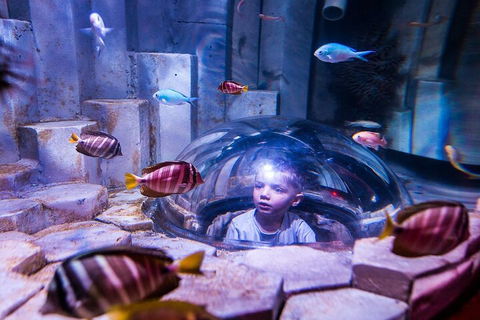 Melbourne BIG Ticket - LEGOLAND Discovery And SEA LIFE Melbourne - Events Australia 5