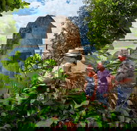 3 Day Cape Tribulation  Cooktown Tour from Cairns or Port Douglas - Events Australia