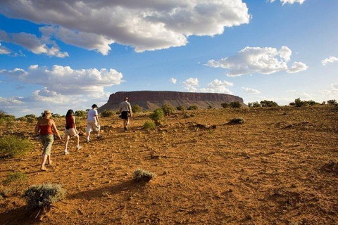 Mount Conner 4WD Small Group Tour From Ayers Rock Including Dinner - Events Australia 0