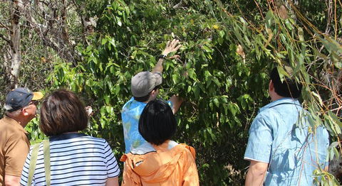 Magnetic Island Tour: Maggie Comprehensive - Tourism Bookings 4