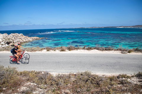 Experience Rottnest With Ferry & Bike Hire From Perth Or Fremantle - Accommodation Europe 2
