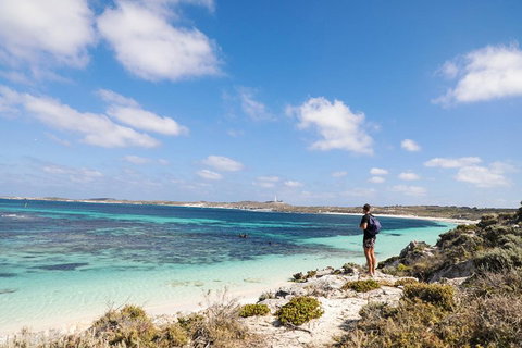 Experience Rottnest With Ferry & Bike Hire From Perth Or Fremantle - Accommodation Europe 3