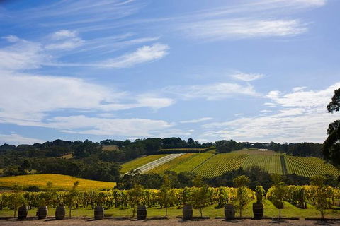 Mornington Peninsula Day Trip From Melbourne - Events Australia 5