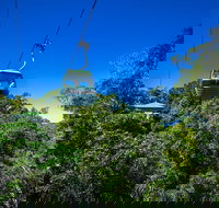 Classic Kuranda by Skyrail and Scenic Railway Including Rainforestation Koala and Wildlife Park and Pamagirri Aboriginal Experi - Events Australia