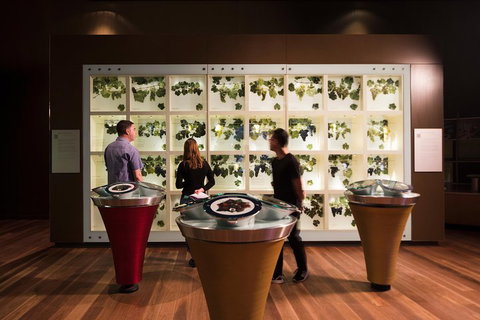 Australian Wine Discovery Tour Ticket - Events Australia 3