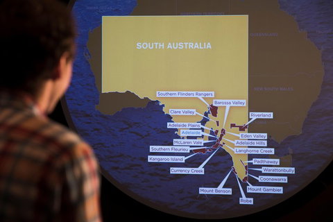 Australian Wine Discovery Tour With Tastings - Events Australia 3
