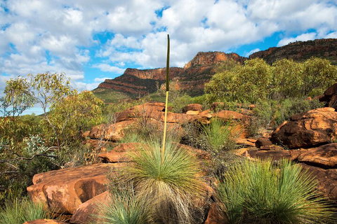 6-Day Eyre Peninsula & Flinders Ranges Adventure Tour - Tourism Bookings 1