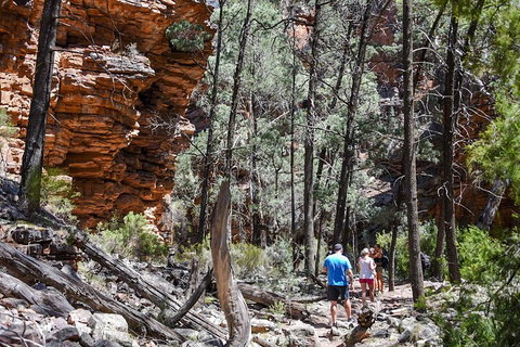 6-Day Eyre Peninsula & Flinders Ranges Adventure Tour - Tourism Bookings 5