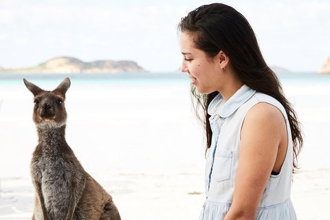 10 Day Perth To Adelaide Private Tour - The Great Australian Wilderness Journey - Accommodation Europe 2