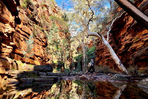 10-Day Adelaide To Perth Adventure Tour - Tourism Bookings 5