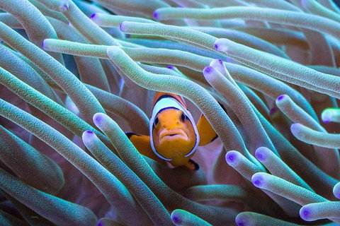 General Admission Entry At AQWA - Tourism Bookings 4