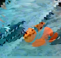 Seastar Luxury Outer Great Barrier Reef Island and Reef Tour from Cairns - Events Australia