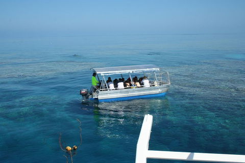 Seastar Luxury Outer Great Barrier Reef Island And Reef Tour From Cairns - Events Australia 5