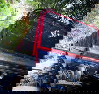 Blue Mountains Hop-on Hop-off Tour with Optional Scenic World Rides - Events Australia