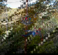 Hollybank Wilderness Adventure - Zipline Tours - Events Australia