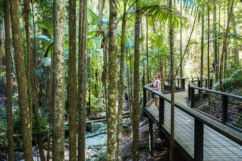 All-Inclusive Fraser Island Day Tour - Events Australia 5