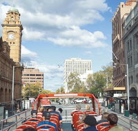 Hobart Hop-On Hop-Off Bus  kunanyi/Mt Wellington Tour - Events Australia