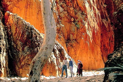West MacDonnell Ranges Day Trip From Alice Springs - Events Australia 3