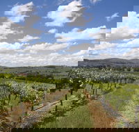 Hunter Valley Wine Tour from Sydney incl Lunch Cheese Chocolate and Distillery - Events Australia