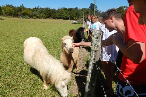 Atherton Tablelands Waterfalls Tour From Cairns - Events Australia 4