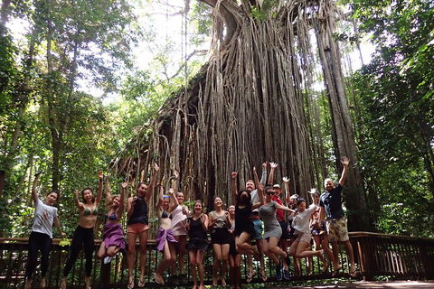 Atherton Tablelands Waterfalls Tour From Cairns - Events Australia 5