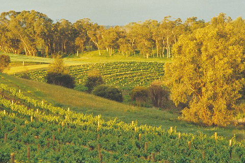 Swan Valley Private Tour - Events Australia 2