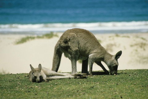 Great Ocean Road Highlights Tour - 2 Days, 1 Night - Events Australia 2